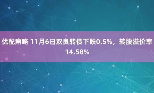 优配痢略 11月6日双良转债下跌0.5%,转股溢价率14.58%