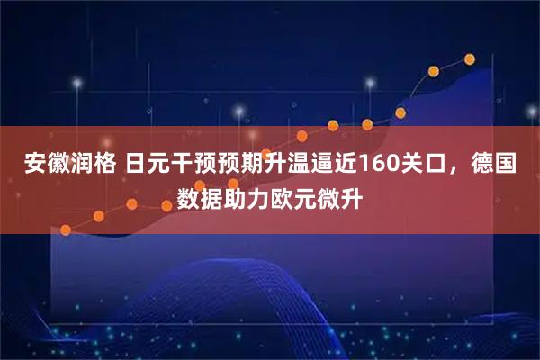 安徽润格 日元干预预期升温逼近160关口，德国数据助力欧元微升